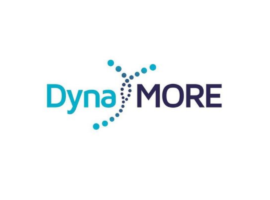 DynaMORE: Dynamic Modelling of Resilience